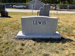 LEWIS BACK