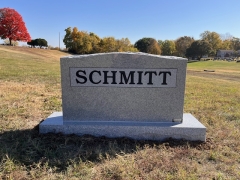 SCHMITT BACK