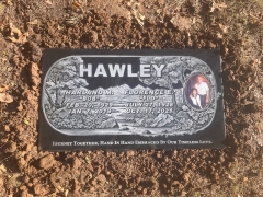 HAWLEY