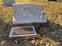 WELLS