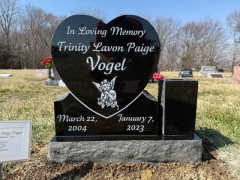 VOGEL