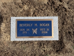BOGAN