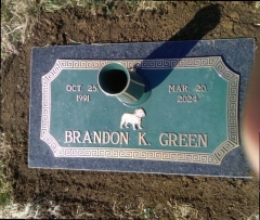 GREEN