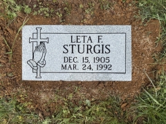 STURGIS