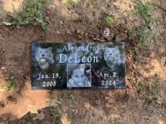 DELEON