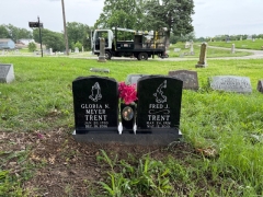 TRENT RE-SEAL