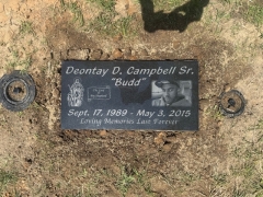 CAMPBELL RE-LEVEL AFTER