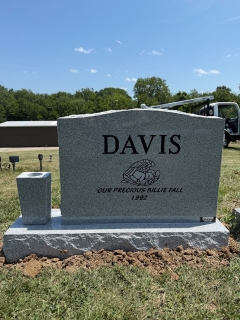 DAVIS BACK