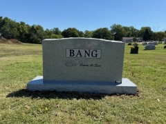 BANG BACK