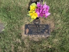 NUCCIO VASE INSERTED