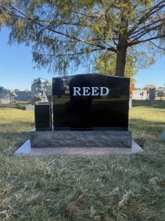 REED BACK