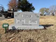 COTTON