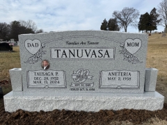 TANUVASE