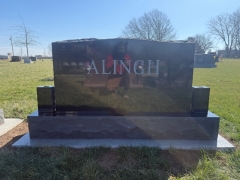 ALINGH BACK