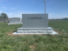 CAMPION BACK