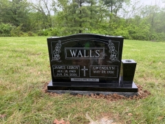 WALLS